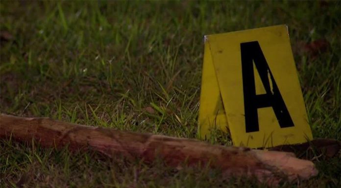 전기 스쿠터 훔치고 개를 죽인 세 브리즈번 남자, 감옥행 Three men allegedly involved in a violent confrontation in Forest Lake over an e-scooter have faced court. (Nine)