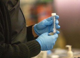봄철 코비드 유행예고 부스터 백신 맞으라! A test swab at a COVID-10 Variant testing site inside the airport in Los Angles. - BLOOMBERG