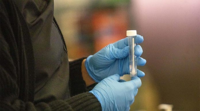 봄철 코비드 유행예고 부스터 백신 맞으라! A test swab at a COVID-10 Variant testing site inside the airport in Los Angles. - BLOOMBERG