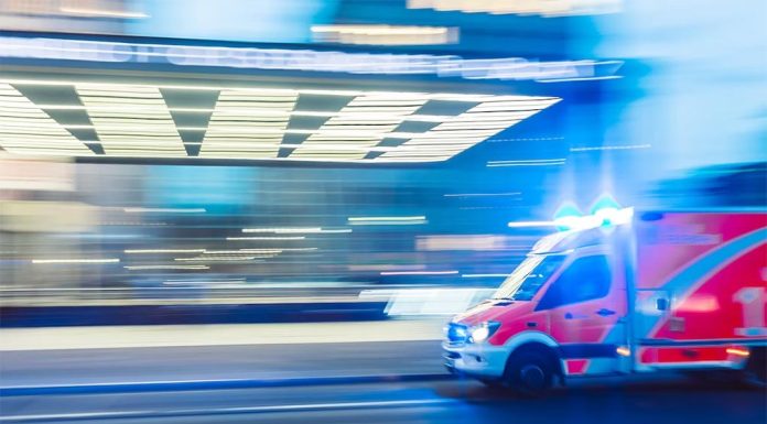 NSW 엄마의 죽음에 대한 공개 조사 요구 촉발 CAMILO JIMENEZ-CAMSTERJIM-UNSPLASH