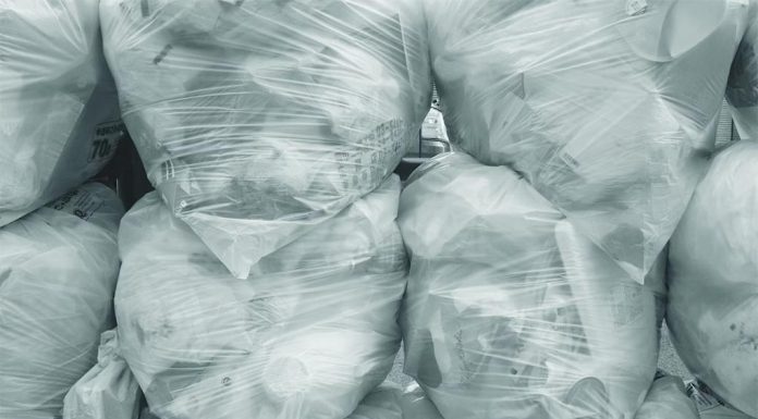 시드니 여성, 앞마당의 대형 폐기물 훼손에 분노 Possessed photography_unsplash