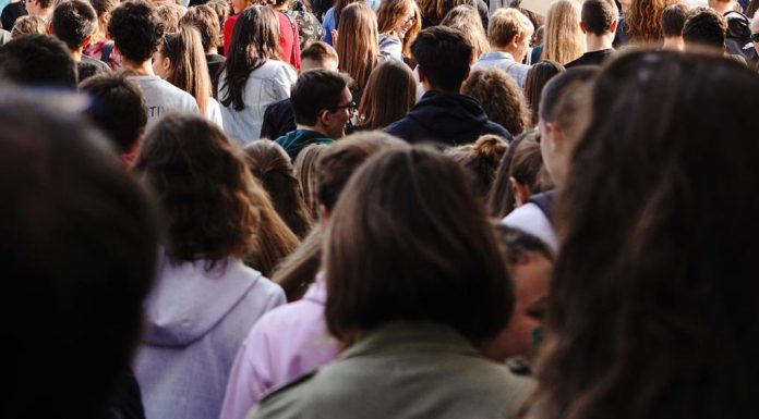 NSW 교사 임금 문제를 둘러싸고 방송에서 격렬히 충돌하다 katie rodriguez_unsplash