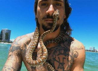 골드코스트 애완용 뱀과 서핑한 남성, 벌금 부과 Shiva the surfing snake along with her owner Higor Fiuza at a Gold Coast beach. (9News)