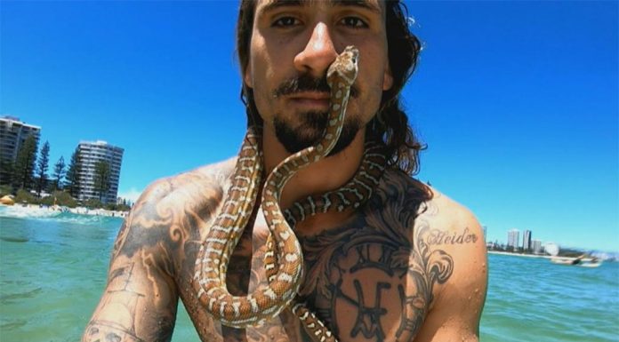 골드코스트 애완용 뱀과 서핑한 남성, 벌금 부과 Shiva the surfing snake along with her owner Higor Fiuza at a Gold Coast beach. (9News)