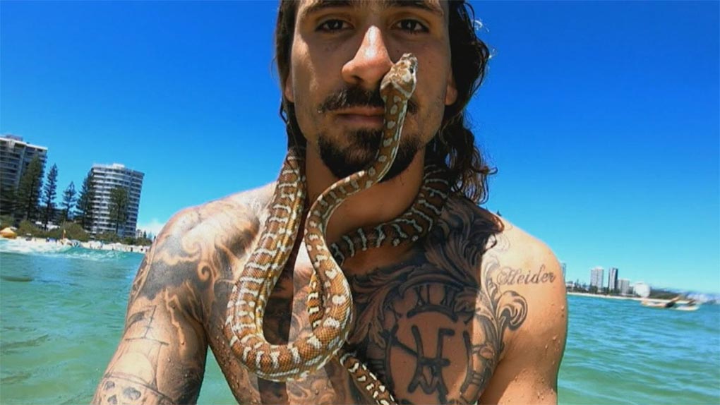 Shiva the surfing snake along with her owner Higor Fiuza at a Gold Coast beach. (9News)