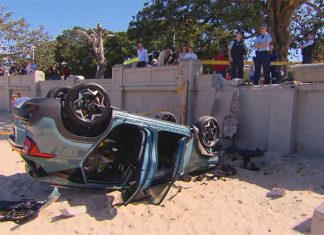 시드니 발모랄 해변 , 자동차 전복, 운전자는 무사 The car crashed through a concrete wall onto the busy beach. (9News)