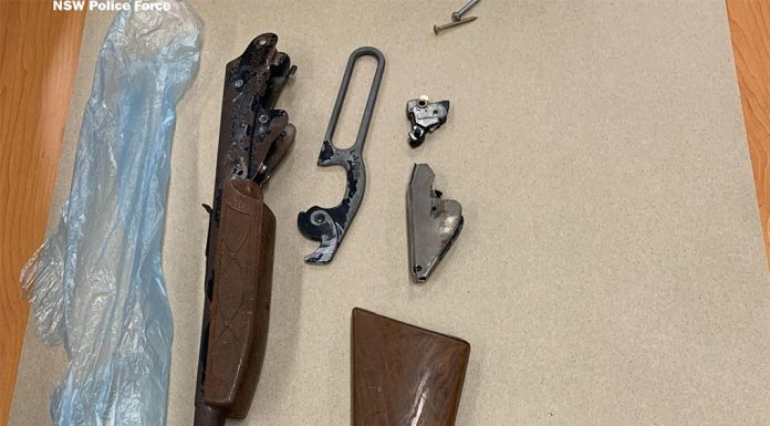 NSW 지난 1년간 가정폭력으로 14명 사망 A number of weapons were also seized. (NSW Police)