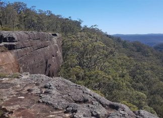 NSW 여성, 사우스코스트에서 추락해 사망 A woman has died after falling 50 metres from the popular lookout on the McKenzie's Saddle walking track. (Google Maps)