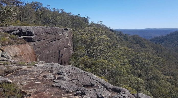 NSW 여성, 사우스코스트에서 추락해 사망 A woman has died after falling 50 metres from the popular lookout on the McKenzie's Saddle walking track. (Google Maps)
