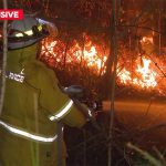 Firefighters are on the front lines. (9News)