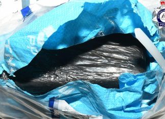 시드니, 4천만 달러 규모의 코카인 밀반입 혐의로 기소된 5명 Five men have been arrested over an alleged plot to import 100kg of cocaine through Sydney Airport. (Australian Federal Police)