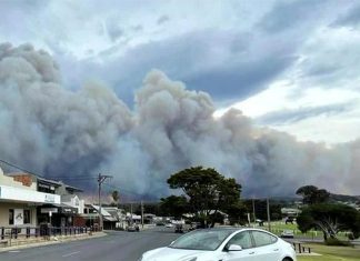 블랙 서머 화재 이후, NSW 지역, 통제 불능 산불에 대한 긴급 경보 발령 There are concerns an incoming southerly front could make containing the Bega Valley bushfire difficult. (Nine)