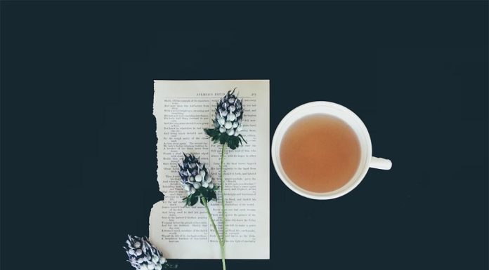 사라진 날들의 흔적 debby-hudson-unsplash