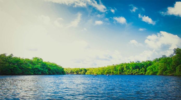 파라마타 강가에서 glauber-sampaio-blaubersampaio_unsplash