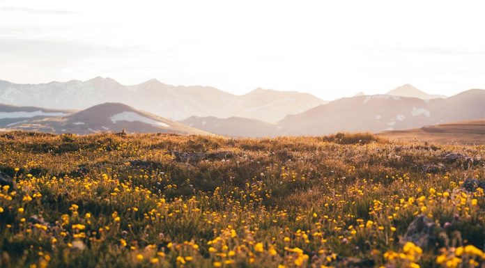 언니 harold wainwright-haroldwainwright_unsplash