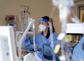 NSW 공립병원 550명 병원 침대 신세 A health care worker treats a Covid patient at an intensive care unit in Hartford, Conn., on Feb. 1, 2022. Allison Dinner Bloomberg via Getty Images