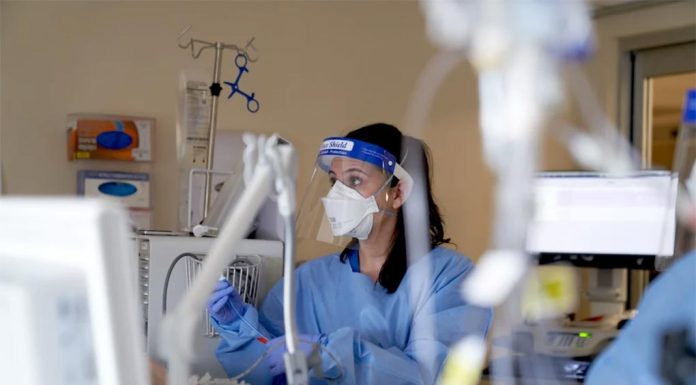 NSW 공립병원 550명 병원 침대 신세 A health care worker treats a Covid patient at an intensive care unit in Hartford, Conn., on Feb. 1, 2022. Allison Dinner Bloomberg via Getty Images