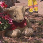 A teddy bear at crash site. (9News)