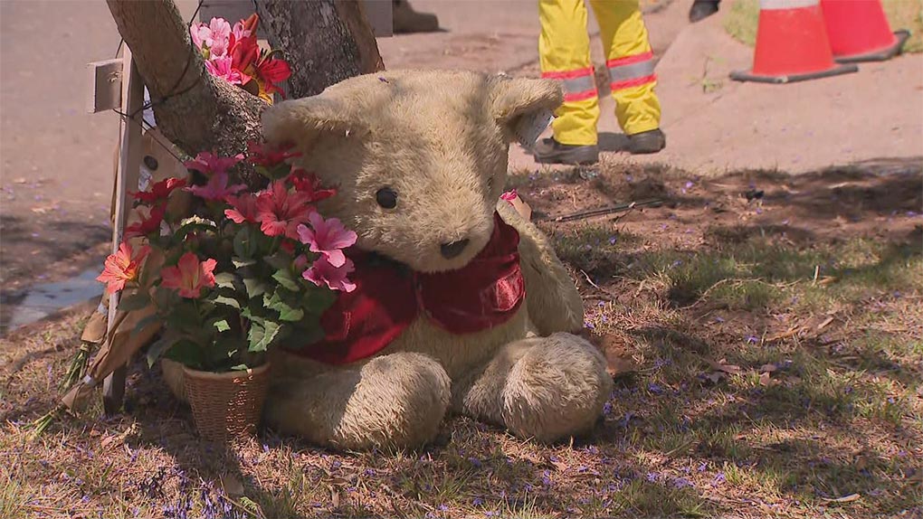 A teddy bear at crash site. (9News)