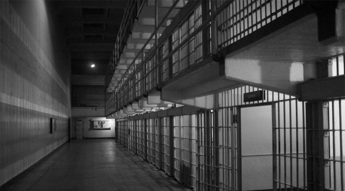 시드니 버스에서 칼부림 발생 EMILIANO BAR_UNSPLASH