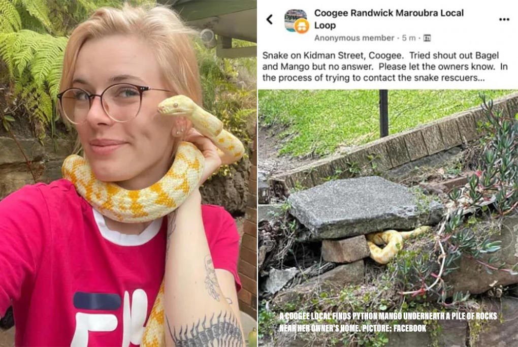 The 25 year-old owner in a new picture with her python, Mango. Picture Facebook