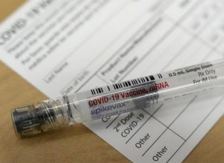 호주 사용 승인된 두 가지 새로운 COVID-19 백신 The Australian government has approved two new COVID-19 vaccines. (Melissa PhillipHouston Chronicle via AP)