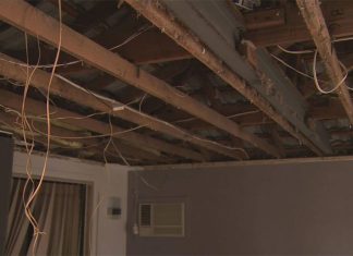 멜번, 천장이 무너져도 살아난 할머니 The family said they don't know why the roof of their home collapsed. (9News)