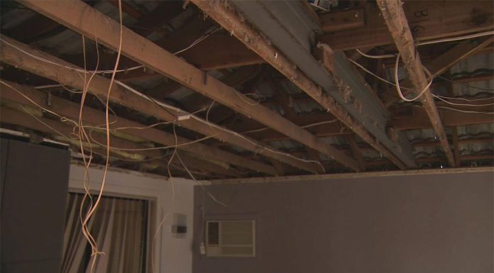 멜번, 천장이 무너져도 살아난 할머니 The family said they don't know why the roof of their home collapsed. (9News)