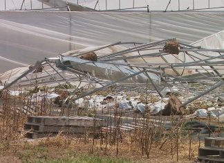 퀸즐랜드 폭풍 이후 과일과 채소 가격 상승 The severe weather has left a tangled mess of metal and greenhouse roofing near the family's eggplant crop. (9News