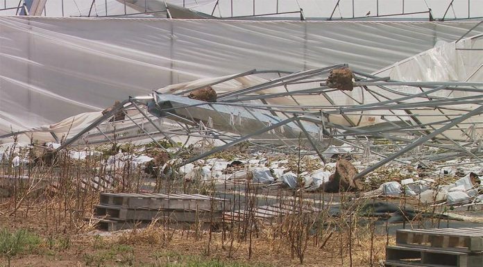 퀸즐랜드 폭풍 이후 과일과 채소 가격 상승 The severe weather has left a tangled mess of metal and greenhouse roofing near the family's eggplant crop. (9News
