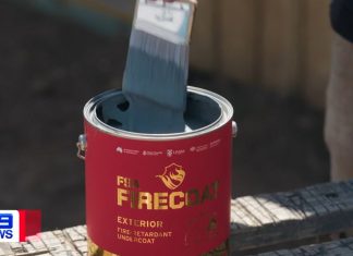 NSW 산불을 일으킨 혐의로 기소된 10대 3명 Three teens charged with allegedly starting bushfire in New South Wales-9NEWS