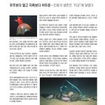vol._1621_060
