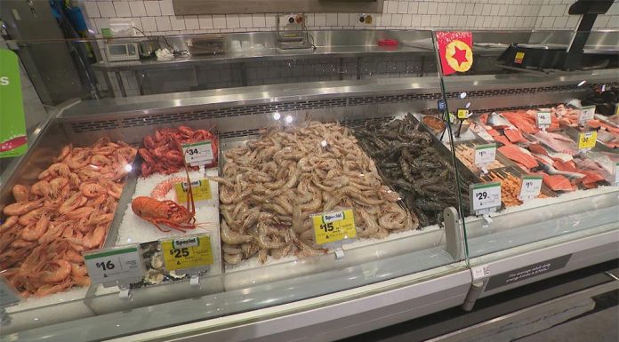 크리스마스 다가오면서 해산물 가격 하락 A large selection of prawns will be on offer from tomorrow at both Coles and Woolworths. (Nine)