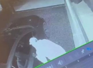 도둑들, 복싱계의 전설 제프 페넥의 시드니 자택노려 CCTV show the brazen burglary. (Nine)