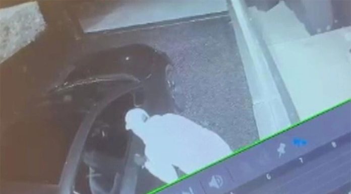 도둑들, 복싱계의 전설 제프 페넥의 시드니 자택노려 CCTV show the brazen burglary. (Nine)