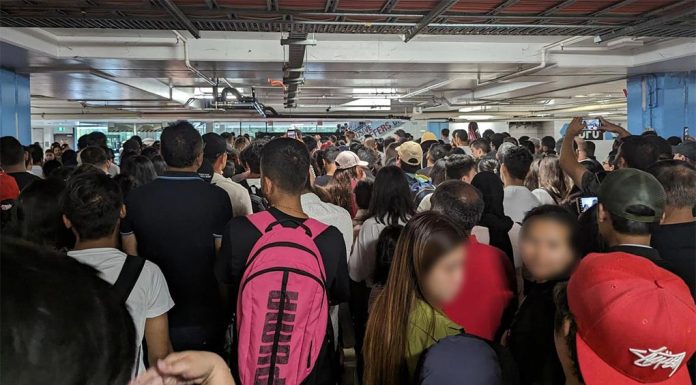 박싱데이 카오스 : 홈부시 DFO DFO Homebush on Boxing Day. Picture Reddit.