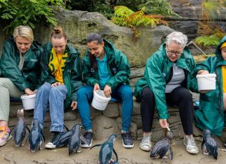 시드니 아기 펭귄들, 마틸다의 이름을 붙여 Matildas midfielder Alex Chidiac visited the zoo NSW Environment Minister Penny Sharpe to meet her namesake. Picture Supplied Taronga Zoo