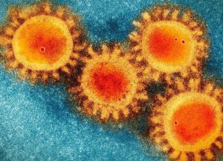 NSW, 작년 이후 지역 사회에서 ‘최악 수준’의 COVID-19 발생 Currently, most infections are coming from Omicron-related variants. (iStock)