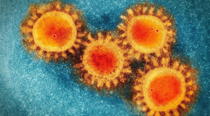 NSW, 작년 이후 지역 사회에서 ‘최악 수준’의 COVID-19 발생 Currently, most infections are coming from Omicron-related variants. (iStock)
