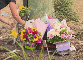 시드니 십대 소년들, 충돌 사고로 사망 Friends and family of the boys have gathered at the site of the crash with flowers and notes to pay their respects. (Nine)
