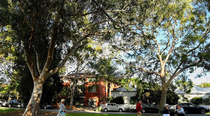 NSW 신규 주택개발 주 정책에 역행하는 지역 카운슬 Hunters Hill is one of the hardest councils to win approval for building plans. CREDIT KATE GERAGHTY