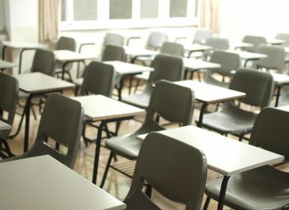 공 교육 거부하는 시드니 학부모 Mche Lee -mclee-unsplash