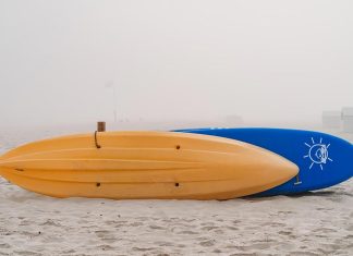 NSW 호수에서 아빠가 아이들과 놀다가 사망 Steven Van Elk_Unsplash