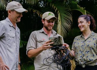 놀라운 악어의 ‘사랑 언어’ 밝혀낸 새로운 연구 결과 University of the Sunshine Coast's researchers are understanding the love languages between crocodiles. (Supplied)