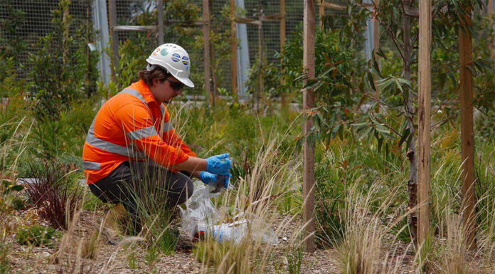 시드니 로젤 파크랜드 시공사, 석면 정화 관련 법적 소송 직면 Inner West Mayor Darcy Byrne said removal will most likely fall behind schedule. (Dean Sewell)