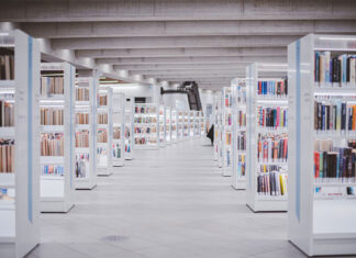 호주 유학생 비자발급 20년만에 최저 Ryunosuke kikuno_unsplash