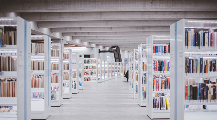 호주 유학생 비자발급 20년만에 최저 Ryunosuke kikuno_unsplash