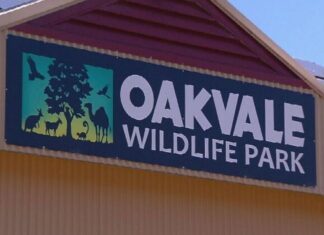 NSW 야생동물 공원 악어에게 살아있는 닭을 던진 남성, 혐의 부인 Oakvale Wildlife Park in the New South Wales Hunter region. (NBN)
