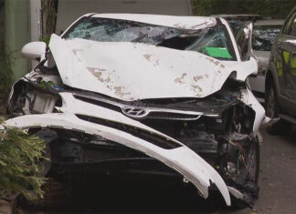 시드니 절벽 아래로 자동차가 추락하는 순간, 카메라에 포착 The car was severely damaged in the incident. (Nine)