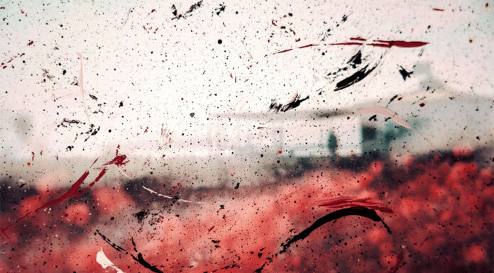 블루마운틴 약혼녀 딸 살인 혐의자, 재판에 회부될 예정 jrkorpa_unsplash